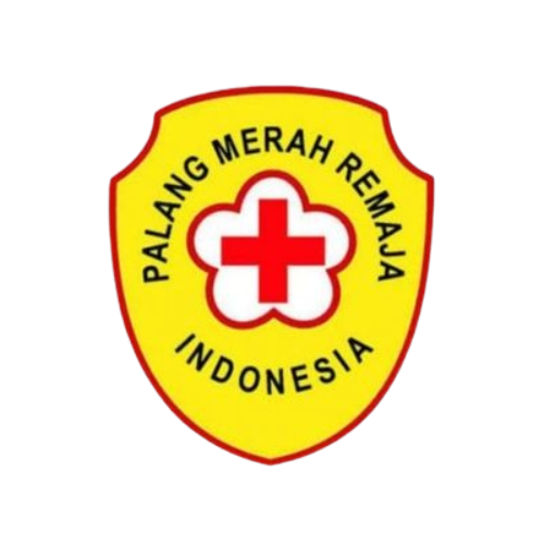 pmr